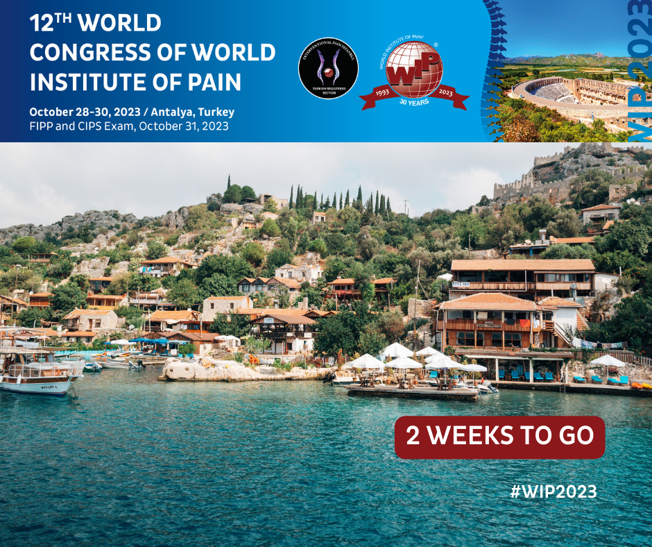 Just 2 weeks left! The countdown to #WIP2023 is on!